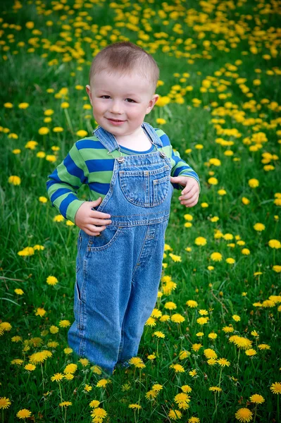 小男孩走在草地上 — 图库照片