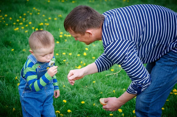 Niño y su padre juegan con dientes de león — Foto de Stock