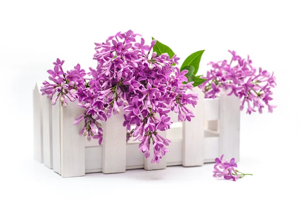 Beautiful bouquet of lilac in a decorative vase — Stock Photo, Image