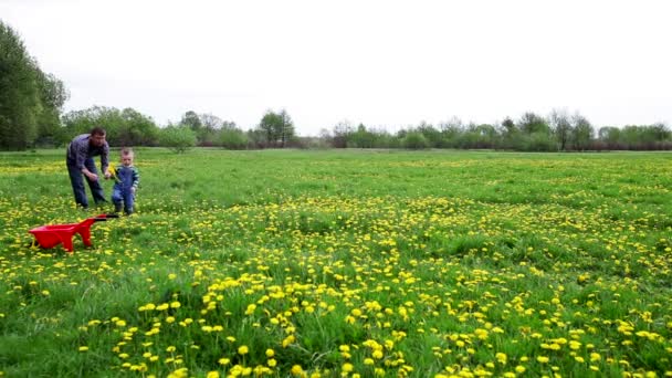 Père jouant avec son fils dans une prairie — Video