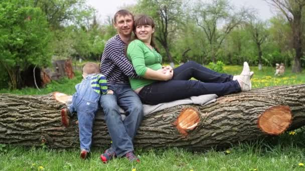 Jovem família sentada em uma árvore — Vídeo de Stock