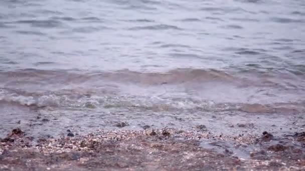 Vídeo de fondo de superficie de agua de mar clara — Vídeo de stock