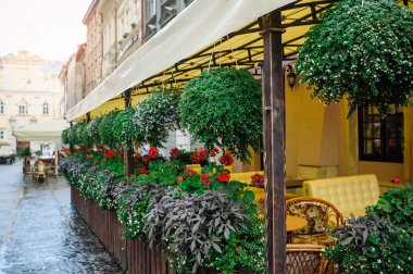 güzel dekor Cafe yaz küçük tablolar ile