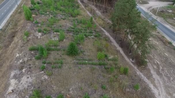 sentier dans un champ près de la route 