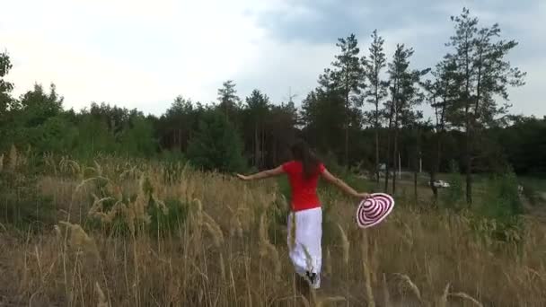 걷기는 빨간색 셔츠에 아름 다운 여자 — 비디오