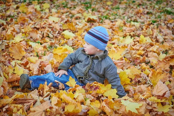 秋の公園の黄色い葉の上に寝そべっている男の子 — ストック写真