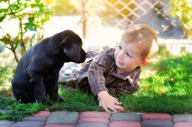 küçük çocuk bir köpek yavrusu Labrador bahçesinde oynarken