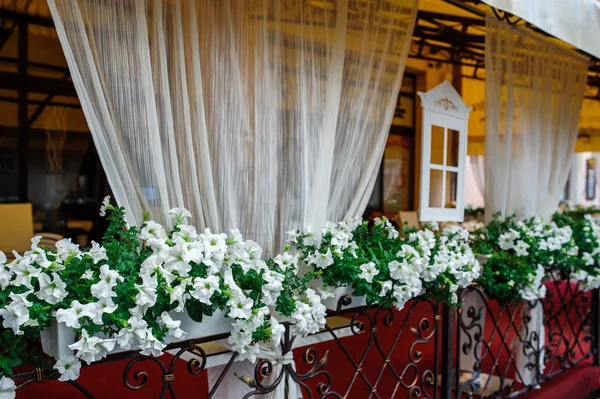 Bela decoração de flores brancas em um café — Fotografia de Stock