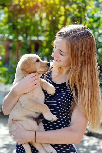 Hermosa joven mujer sostiene un cachorro Labrador — Foto de Stock