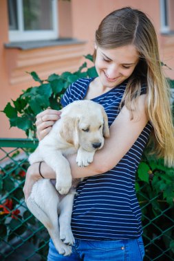 Kadın beyaz labrador köpek tutmak