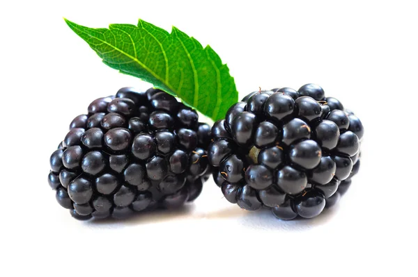 Blackberries and green leaf on a white background — 图库照片