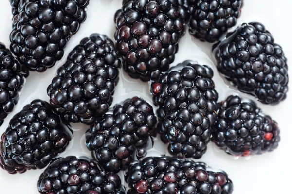 Fresh berry blackberry on white background — 图库照片