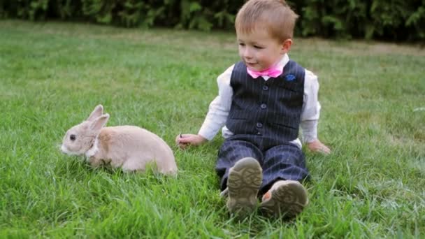 Petit garçon jouant avec un lapin dans une prairie — Video