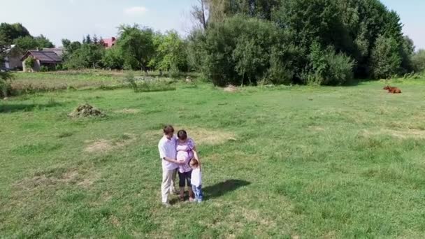 Jeune famille marchant dans la prairie d'été — Video