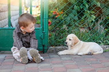 Kameraya gülümseyen sevimli küçük çocuk onun köpek yavrusu labrador ile diz çökmüş