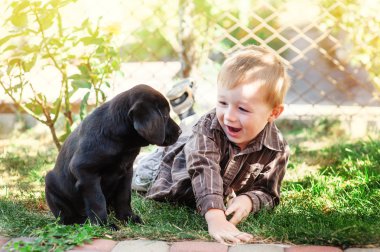 Kameraya gülümseyen sevimli küçük çocuk onun köpek yavrusu labrador ile diz çökmüş