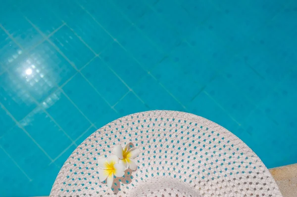 Két plumeria virág a kalap, a háttérben a medence — Stock Fotó