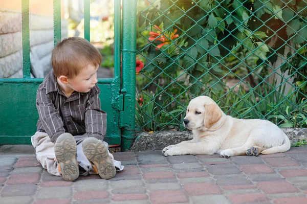 Lindo niño arrodillado con su cachorro labrador sonriendo a la cámara — Foto de Stock