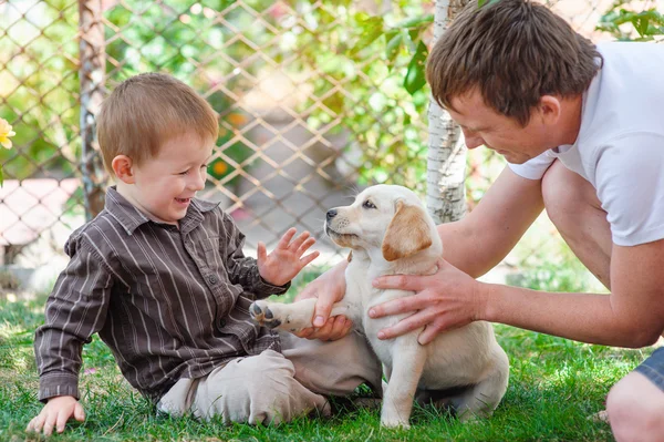 Padre e hijo jugando con un cachorro Labrador — Foto de Stock