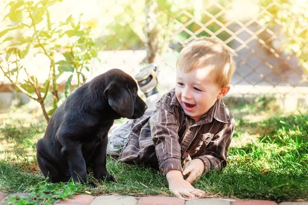 Ładny mały chłopiec klęcząc z jego szczeniak labrador uśmiecha się do kamery — Zdjęcie stockowe