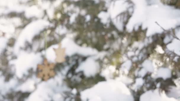 Hermosa mujer de Navidad decora un árbol de piel en madera de invierno — Vídeo de stock