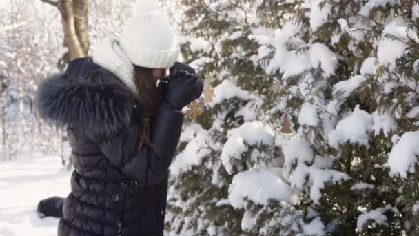 Hermosa mujer joven en ropa de invierno y sombrero blanco de punto fotografiando bosque nevado — Vídeo de stock