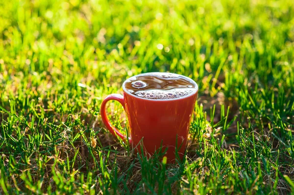 Taza roja de té sobre un fondo de hierba en el parque —  Fotos de Stock