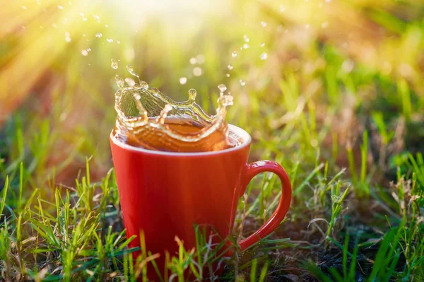 Taza roja de té sobre un fondo de hierba en el parque —  Fotos de Stock