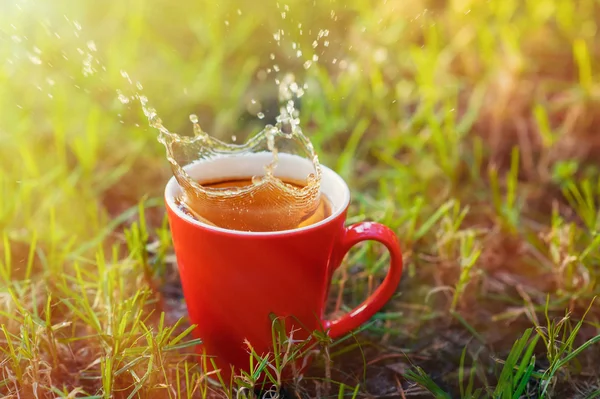 red mug of tea on a background of grass in the park