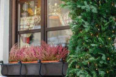 evde güzel Noel süsleri