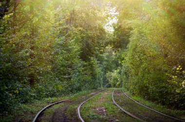 Forest park city bölgesindeki tramvay rayları