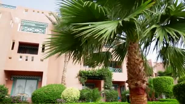 Частина території будівлі готелю з зеленим пальмовим заводом — стокове відео