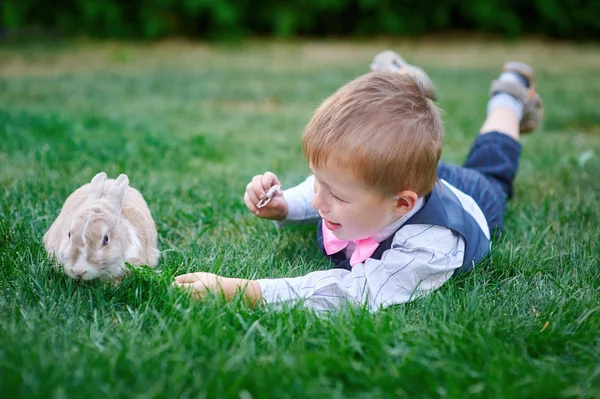 芝生の上のうさぎと遊ぶ少年 — ストック写真