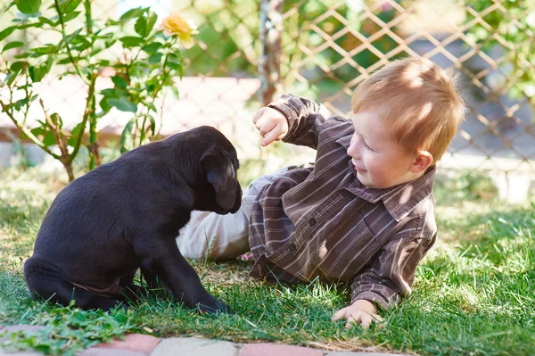 Mały chłopiec bawi się czarny szczeniak Labrador — Zdjęcie stockowe