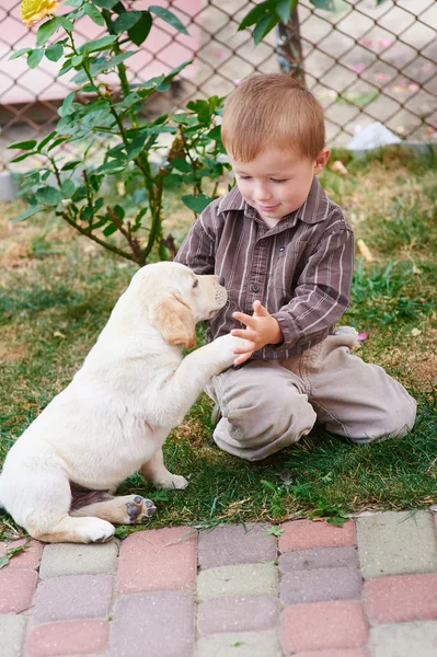 Μικρό αγόρι που παίζει με ένα λευκό κουτάβι Λαμπραντόρ — Φωτογραφία Αρχείου