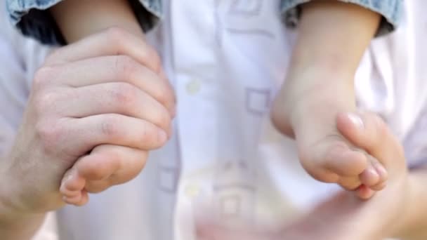 Sohn sitzt auf den Schultern des Vaters — Stockvideo