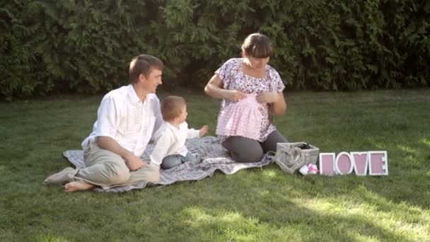 Familie sitzt im Sommerpark auf dem Rasen bei einem Picknick — Stockvideo