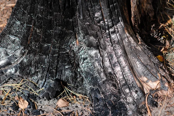 Verbrand hout textuur — Stockfoto