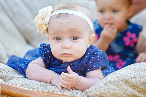 Twee schattige kleine zusters lachen en spelen op stoel in groen zonnige park — Stockfoto