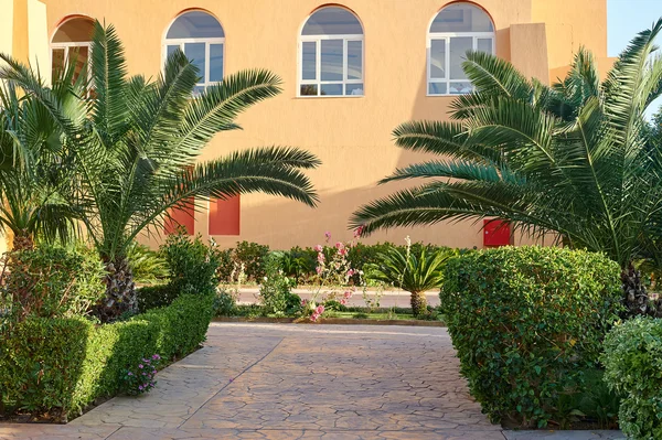 Hermosa zona con palmeras en el fondo de la casa — Foto de Stock