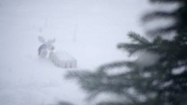 ahşap oyuncak geyik ve karda küçük bir çit