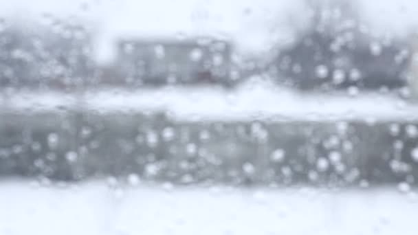Visión borrosa desde la ventana con gotas de lluvia — Vídeos de Stock
