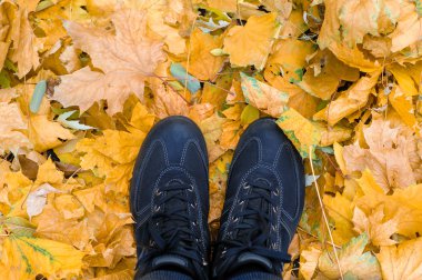 Sonbaharın bir arka plan üzerinde siyah ayakkabı bırakır