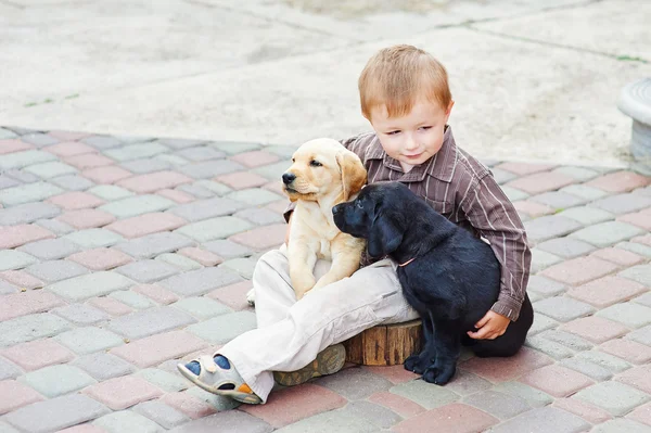 Niño jugando al aire libre con dos cachorros Labrador — Foto de Stock