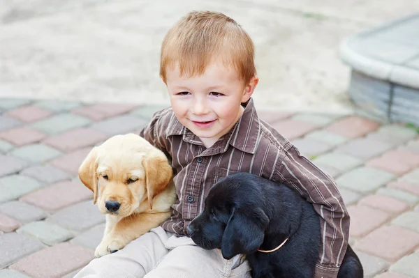 Niño jugando al aire libre con dos cachorros Labrador — Foto de Stock