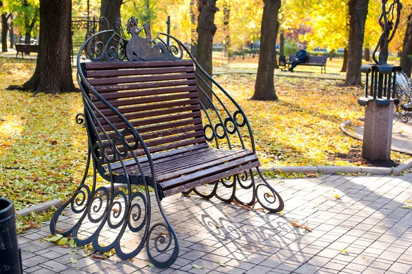 Piękne kute metalowe ławki w parku jesień — Zdjęcie stockowe