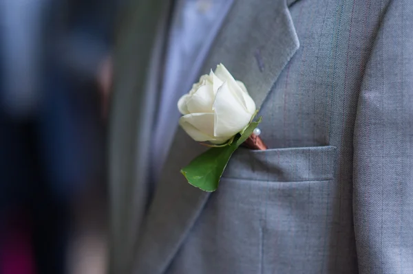 Boutonniere groom made of white rose — Stock Photo, Image