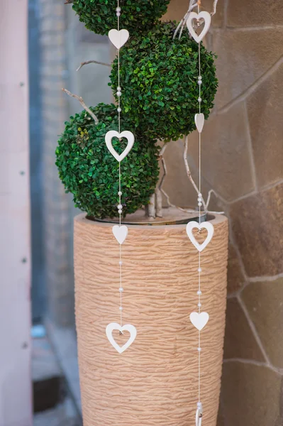 Artificial small decorative tree in office against the wall — Stock Photo, Image