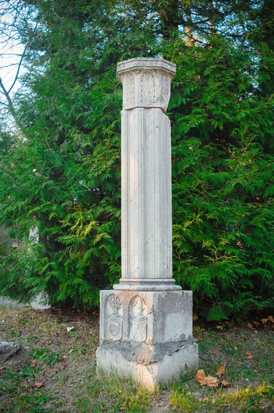 Набор древнегреческой колонны. Античная греческая колонна — стоковое фото