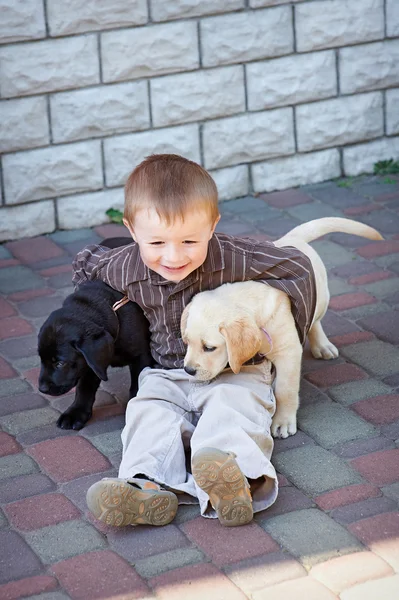Kleine jongen spelen buiten met een twee Labrador puppies — Stockfoto